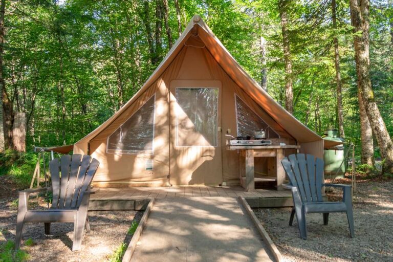 Chalet en bois installé dans un camping, offrant un cadre naturel et paisible