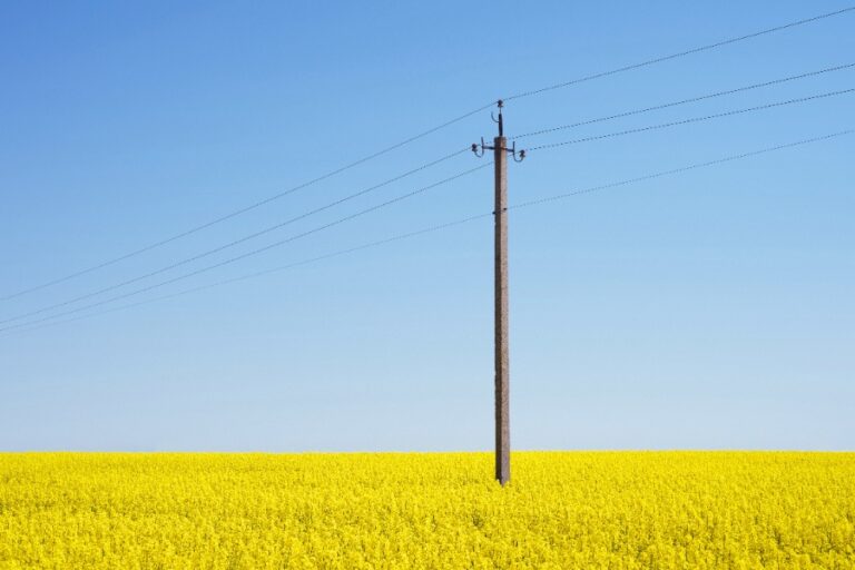 Technicien EDF effectuant l’entretien d’un poteau électrique sur un terrain privé