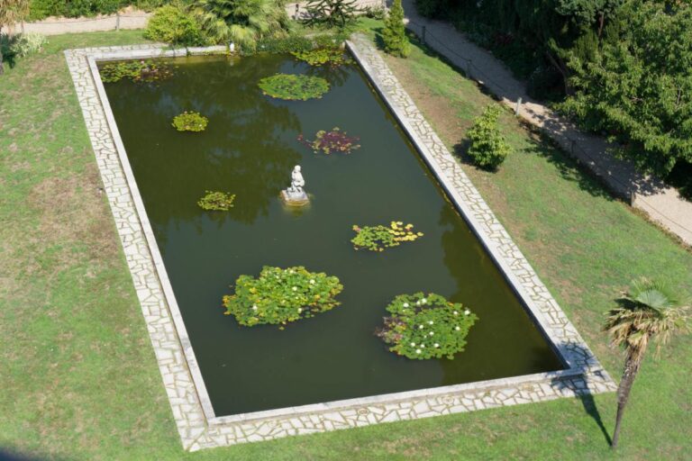Création d'un étang de 1000 m2 dans un jardin