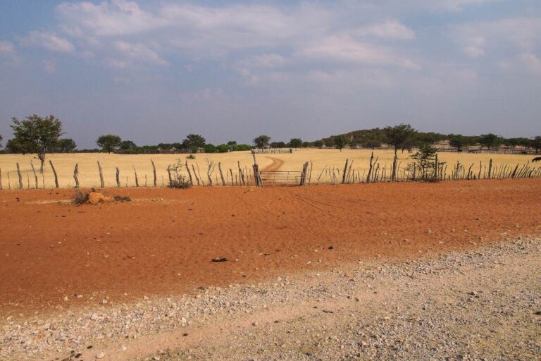 Un terrain de friche situé en France