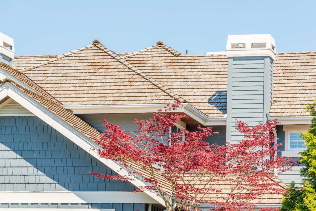Des feuilles des arbres montées au même niveau de la toiture