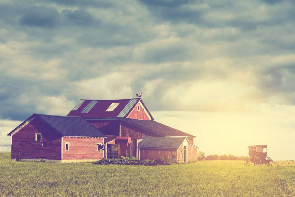 Un terrain agricole avec des maisons