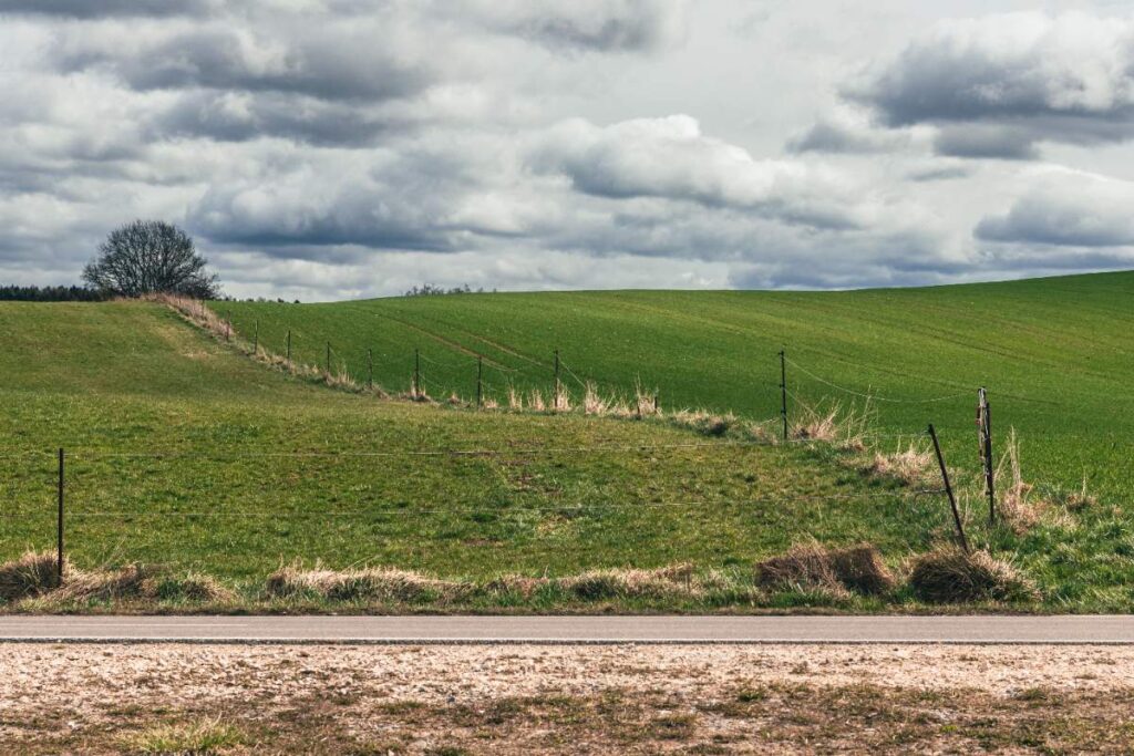 Un champ verdoyant au bord d'une route