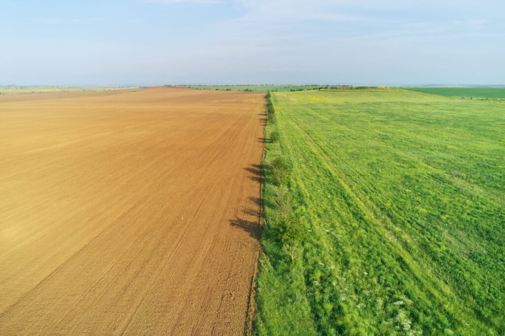 Des champs verts et bruns 